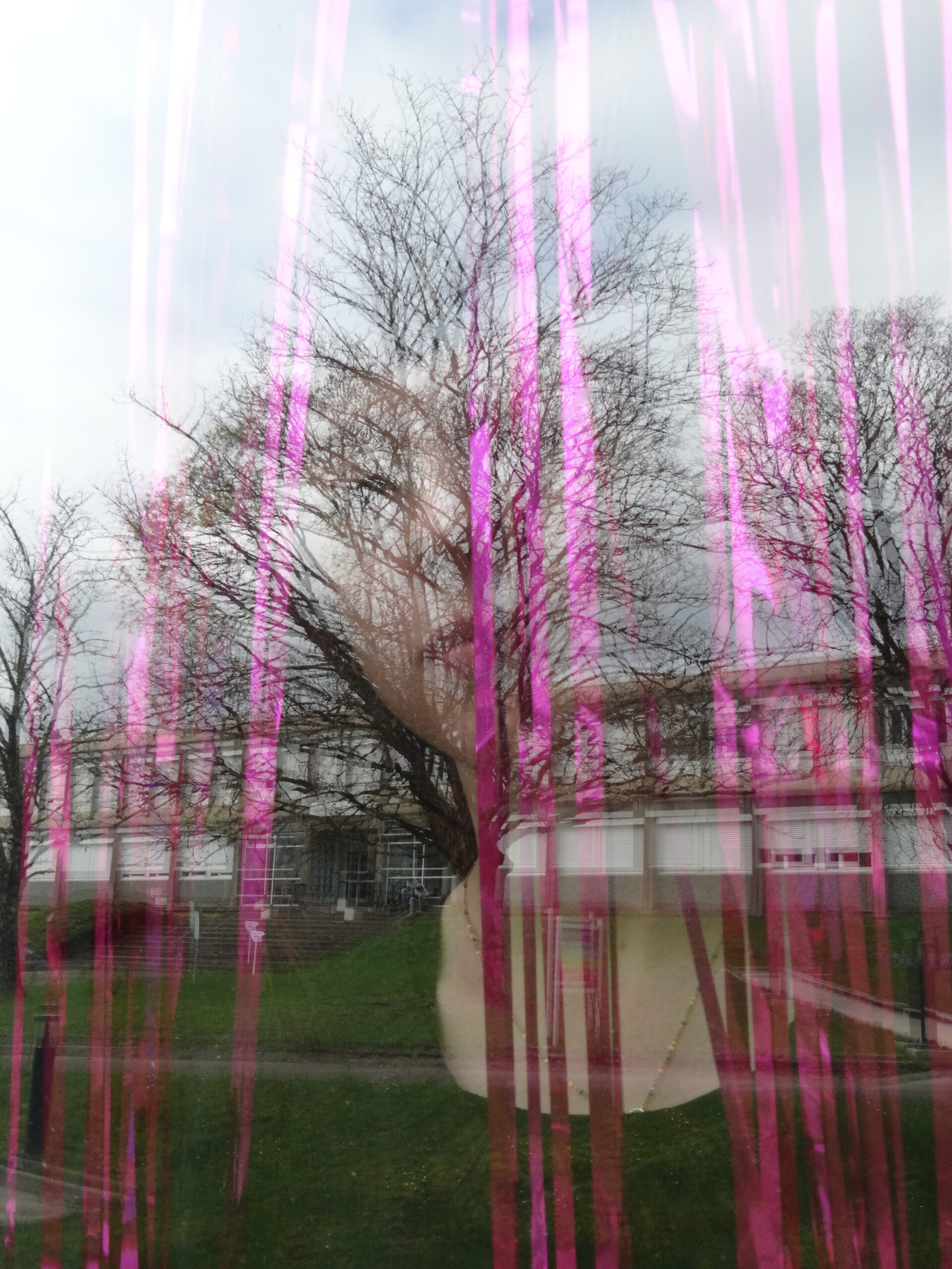 apparition fond