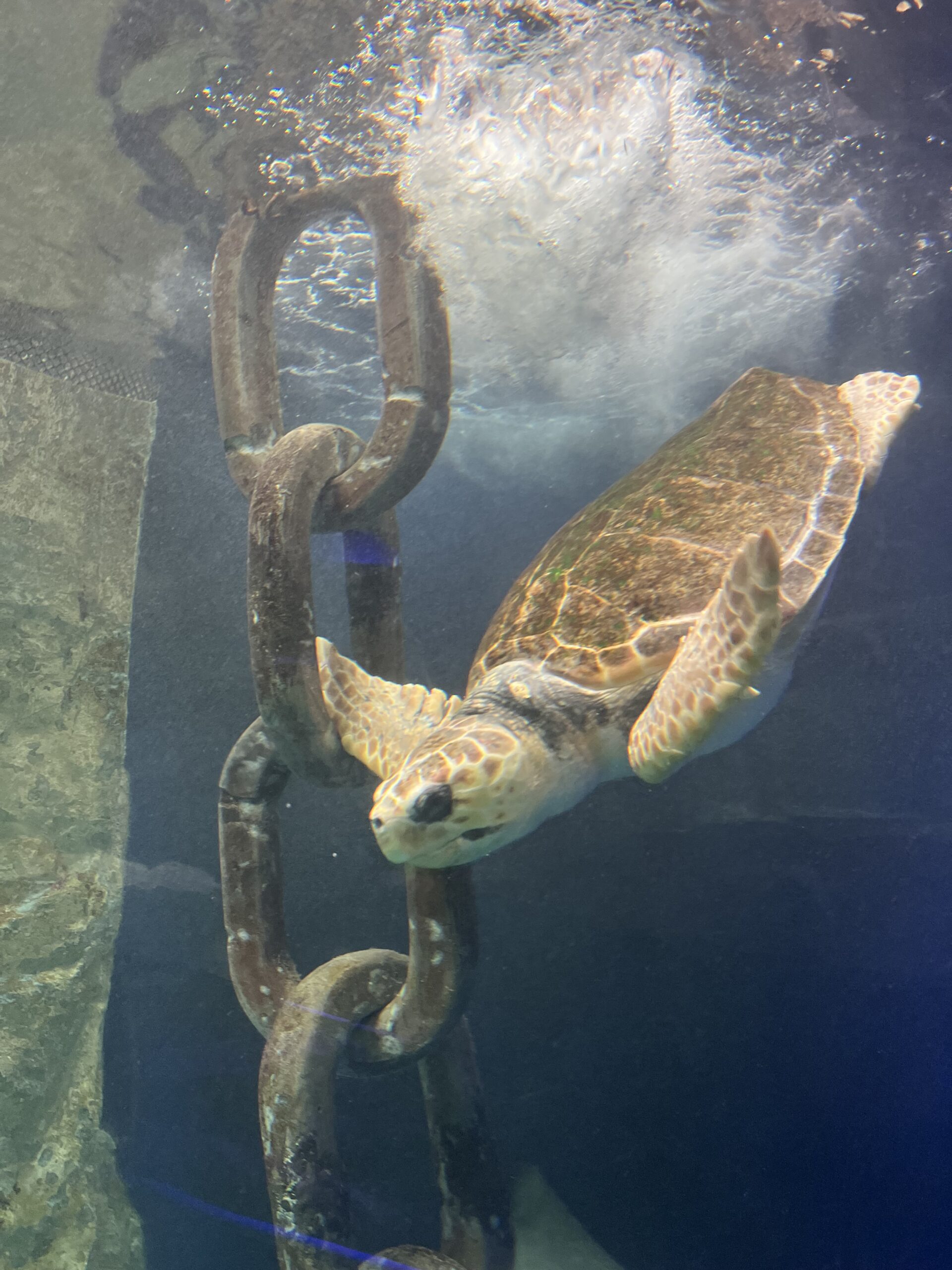 aquarium