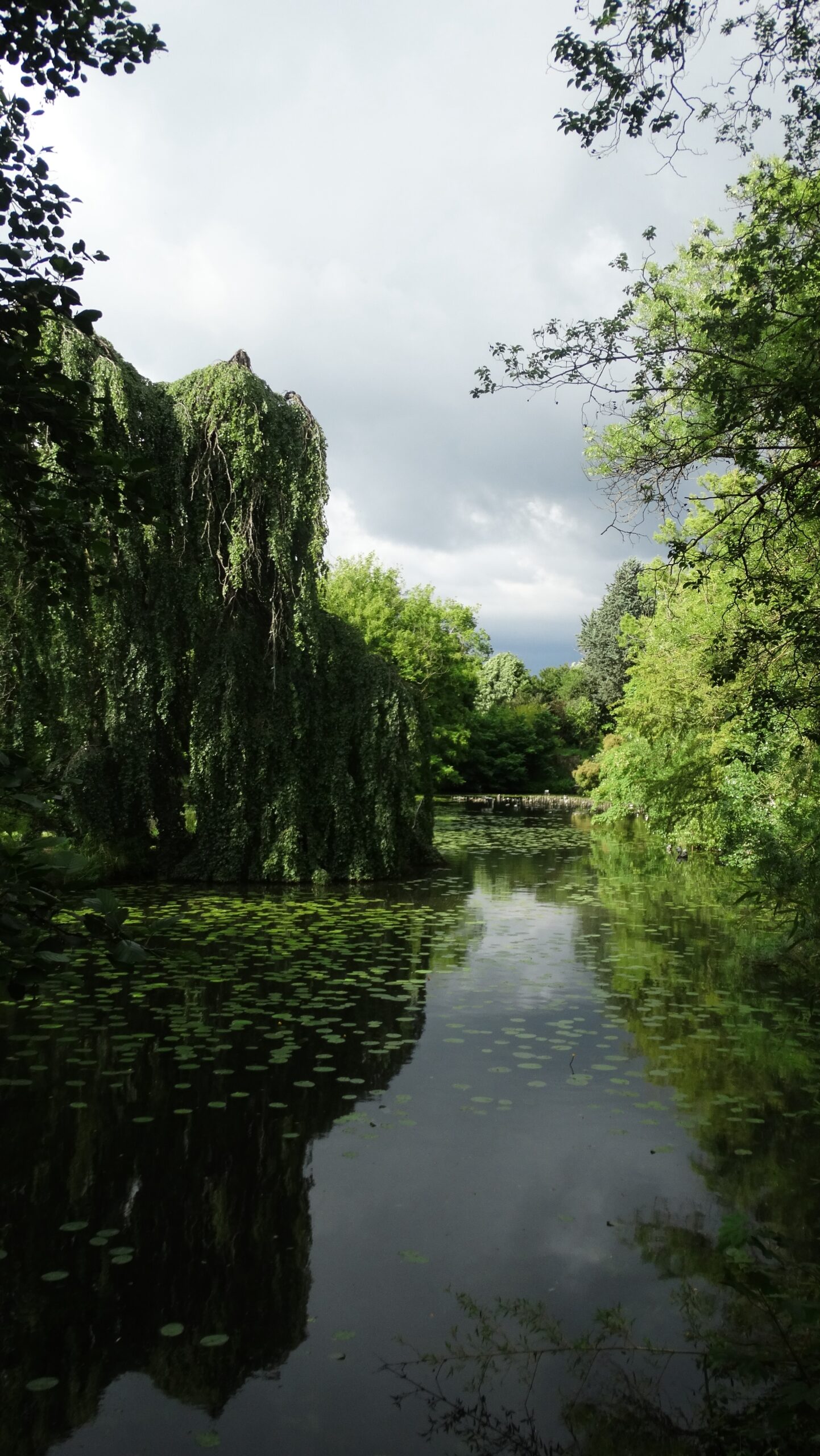 metz bord d eau