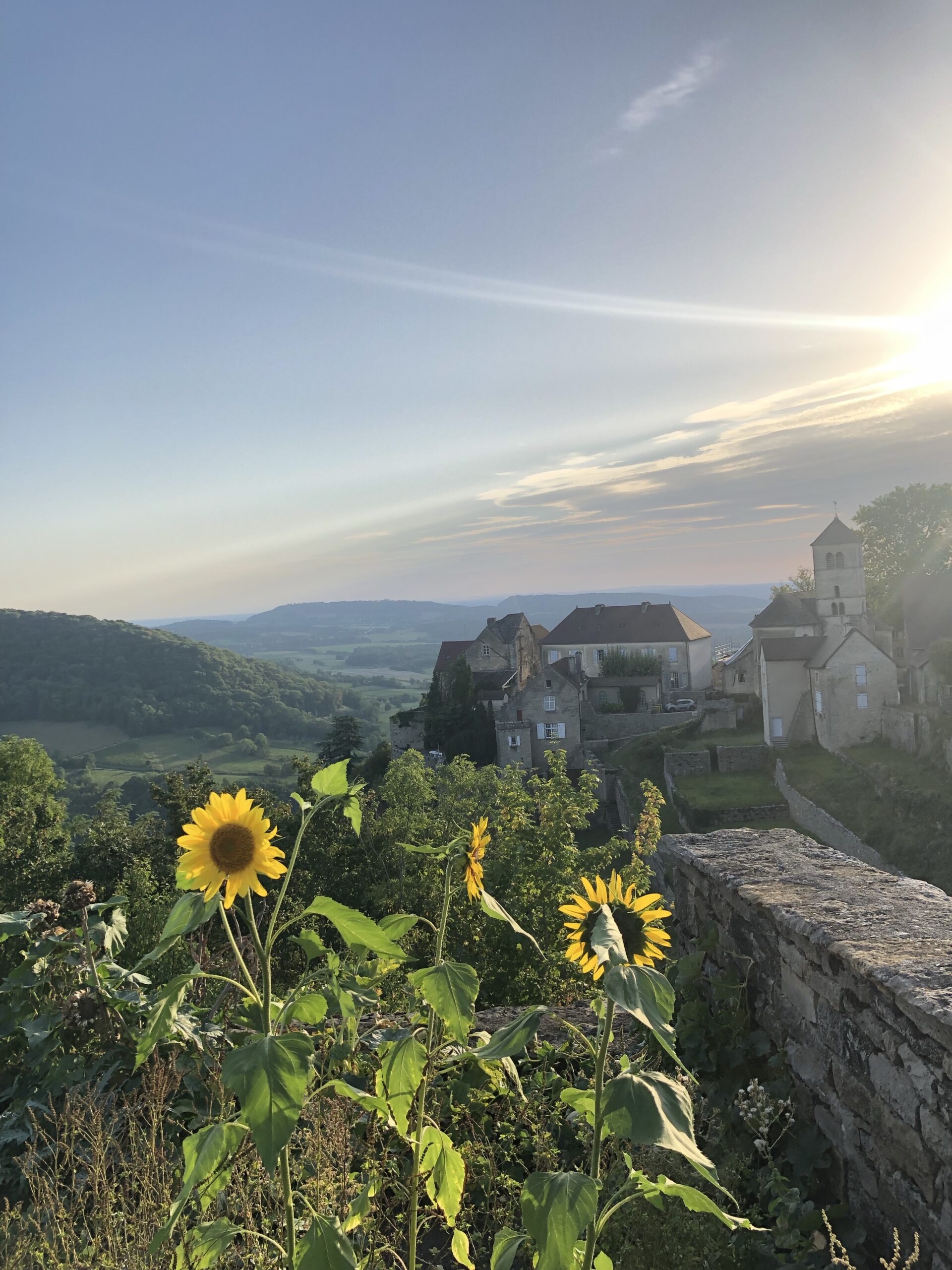 paysage lons